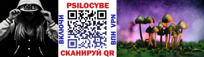 Псилоцибиновые грибы мицелий  Белоозёрский 